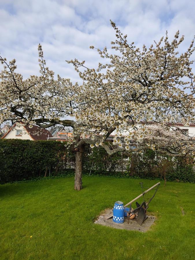 Ferienwohnung Ostseestrandlaeufer 2 Zingst Luaran gambar